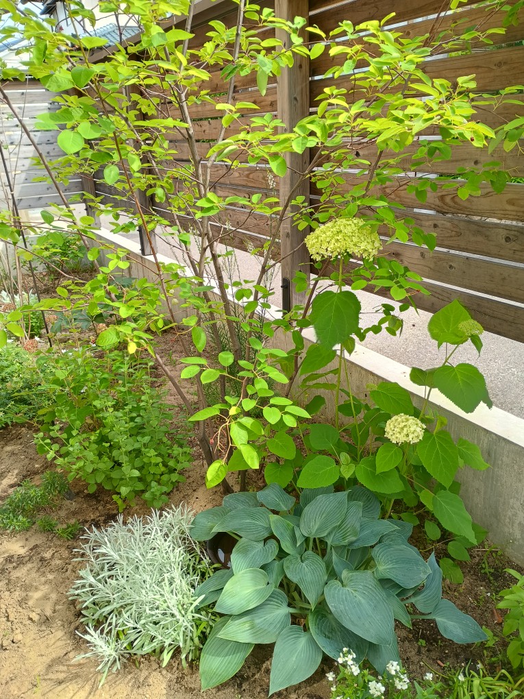 お庭時間を楽しむ